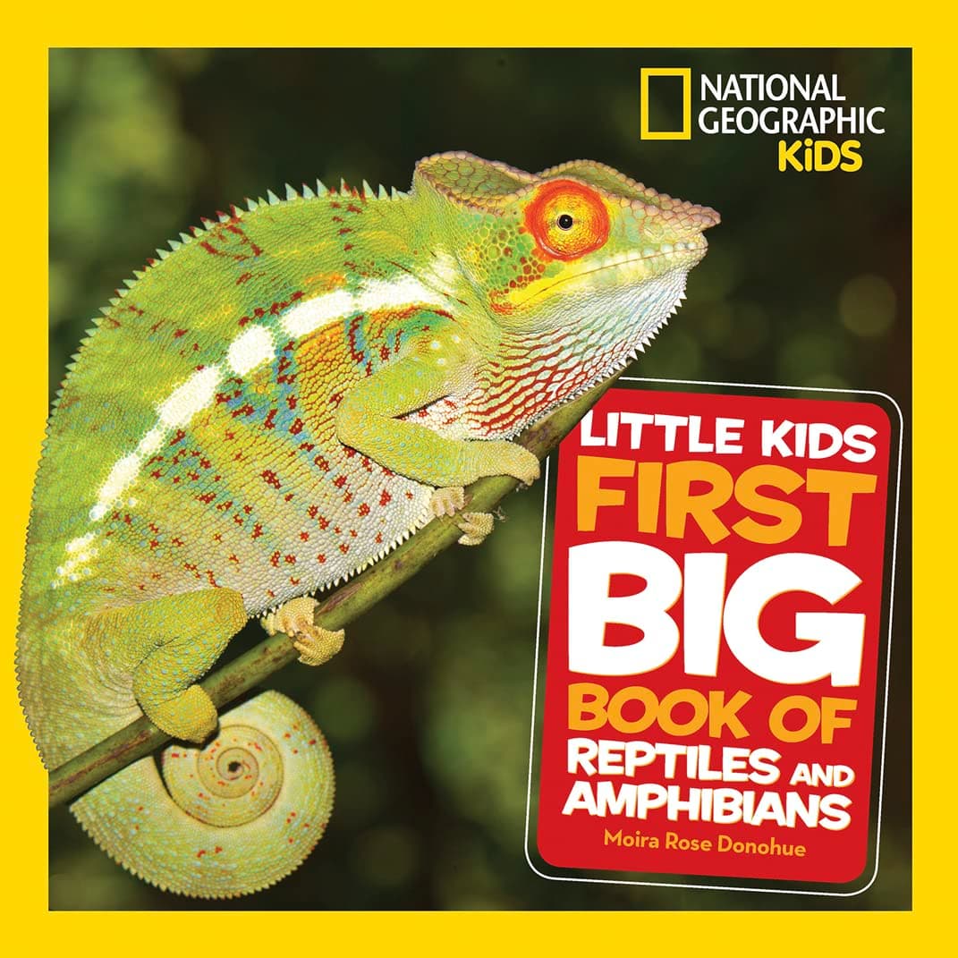 Little Kids First Big Book of Reptiles and Amphibians. NG