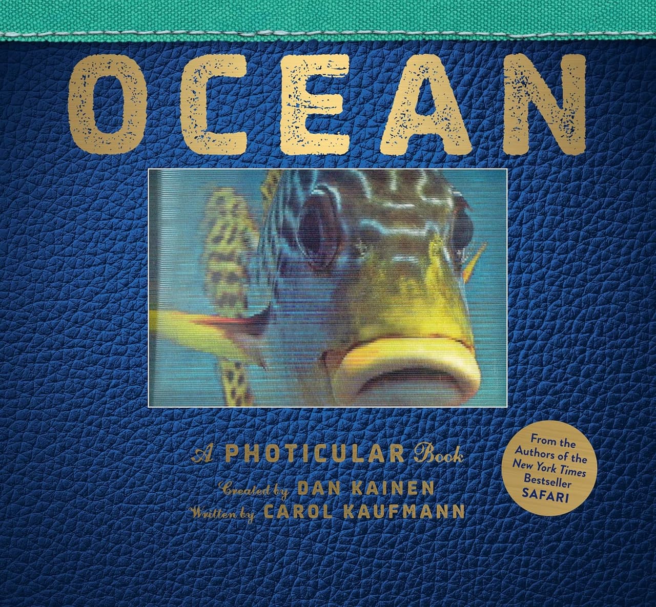 Ocean: A Photicular book