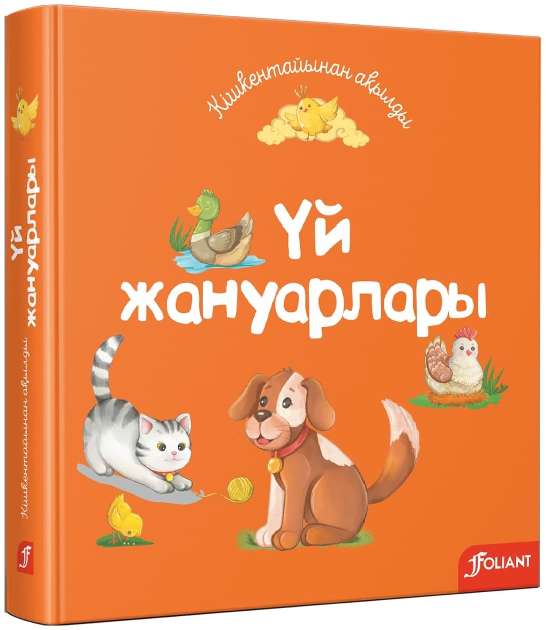 Үй жануарлары