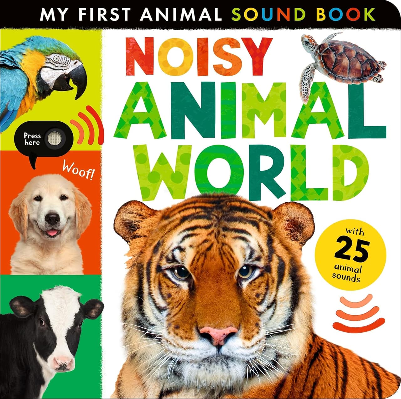 Noisy Animal World