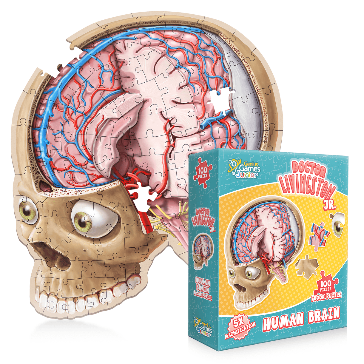 Brain puzzle. Doctor Livingston. Genius games