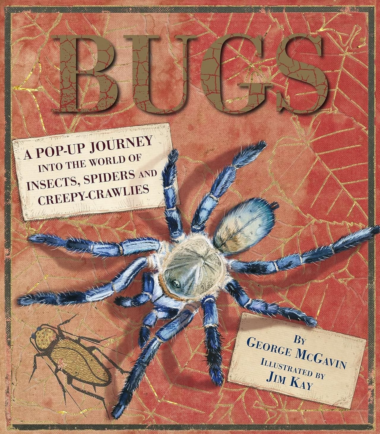 Bugs. A Pop-Up Book (J.Kay)