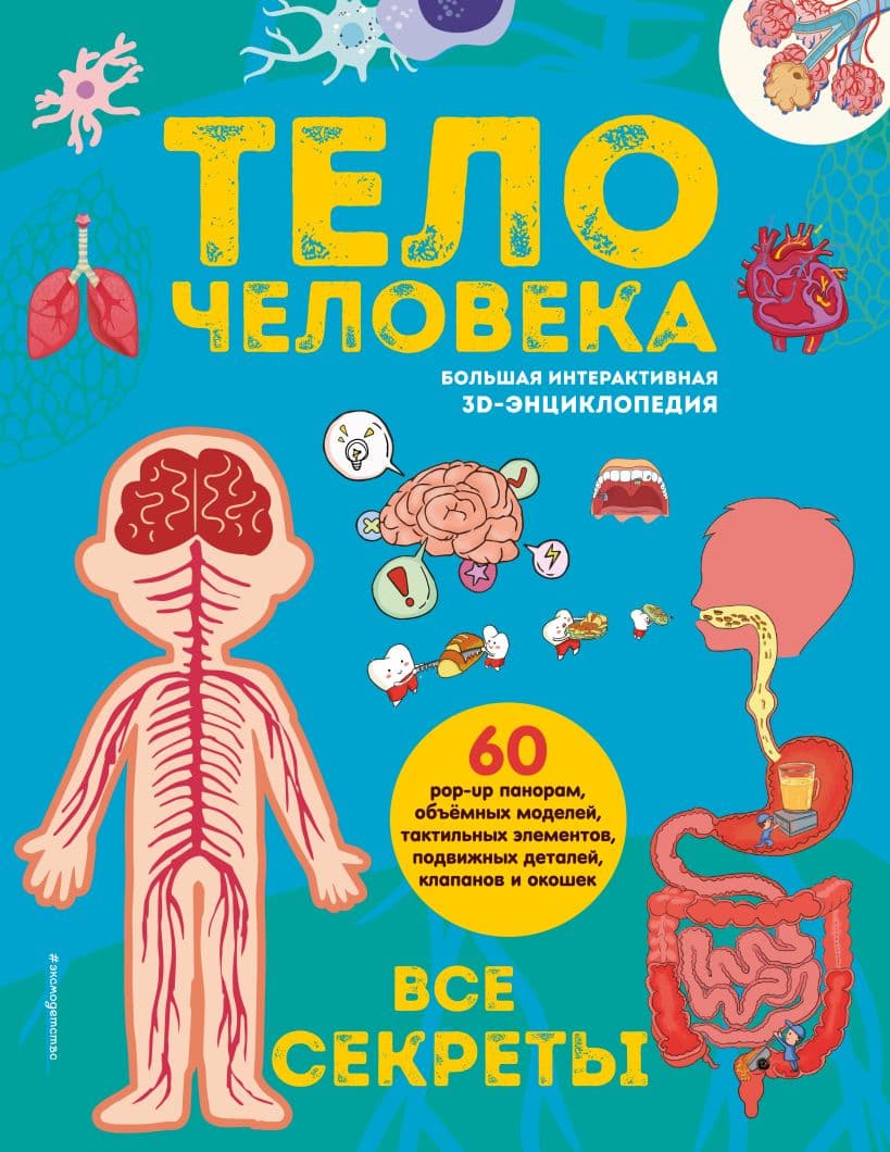 Тело человека. Все секреты. Большая интерактивная 3D-энциклопеди