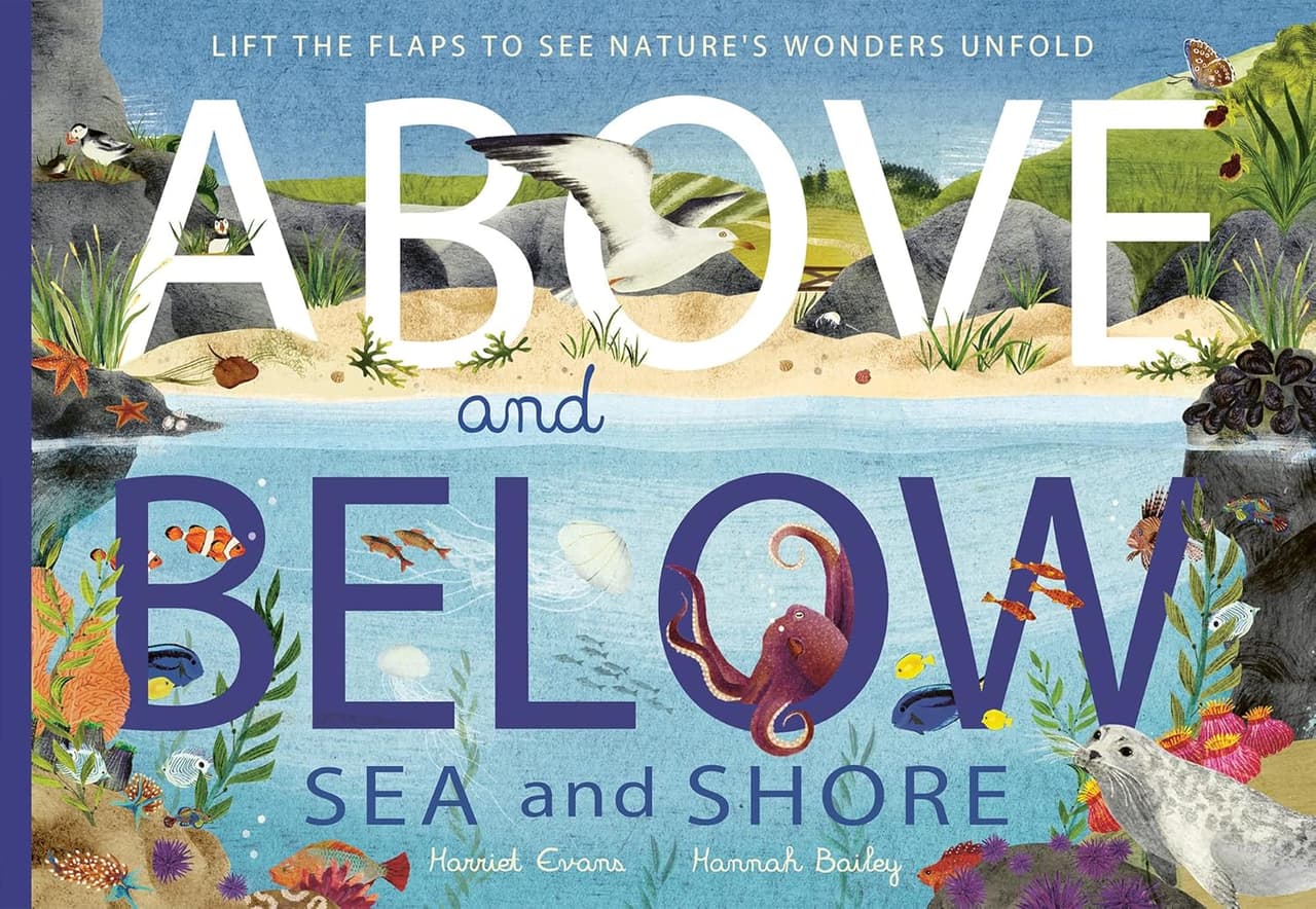 Above and Below: Sea and shore