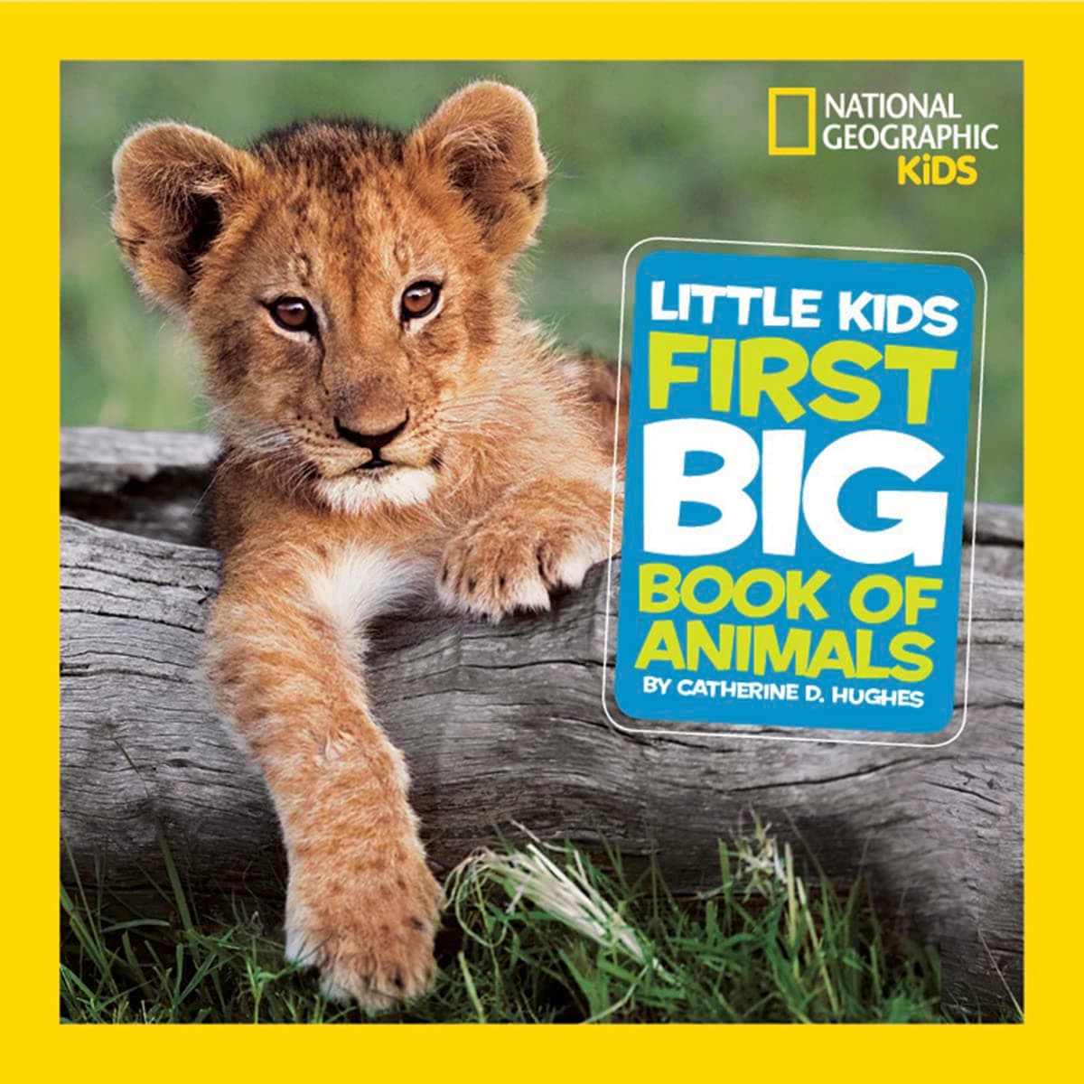 Little Kids First Big Book of Animals. NG