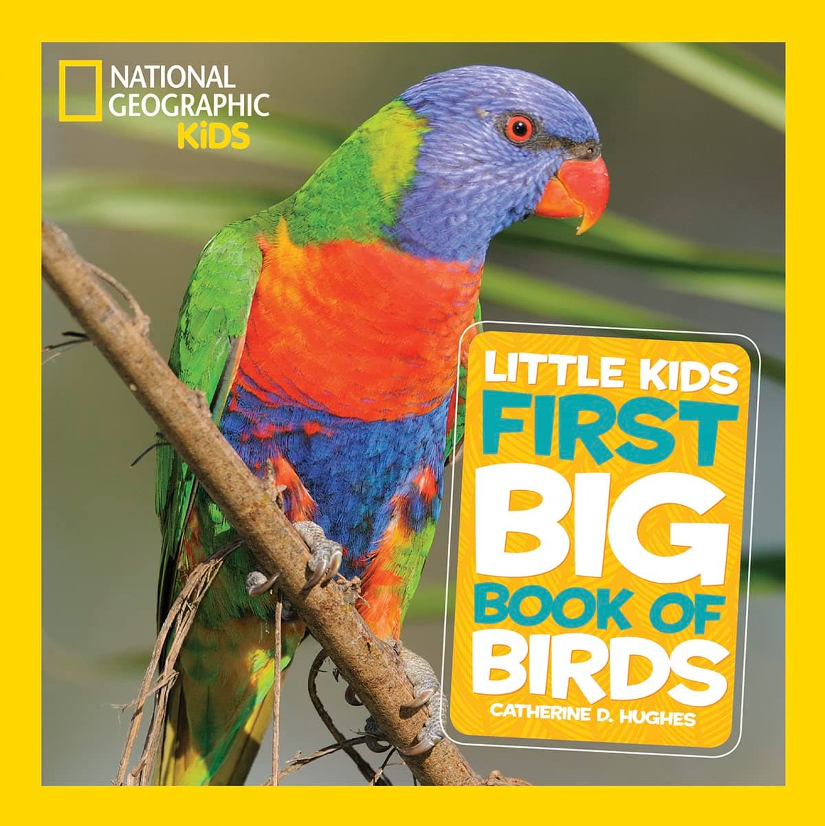 Little Kids First Big Book of Birds. NG
