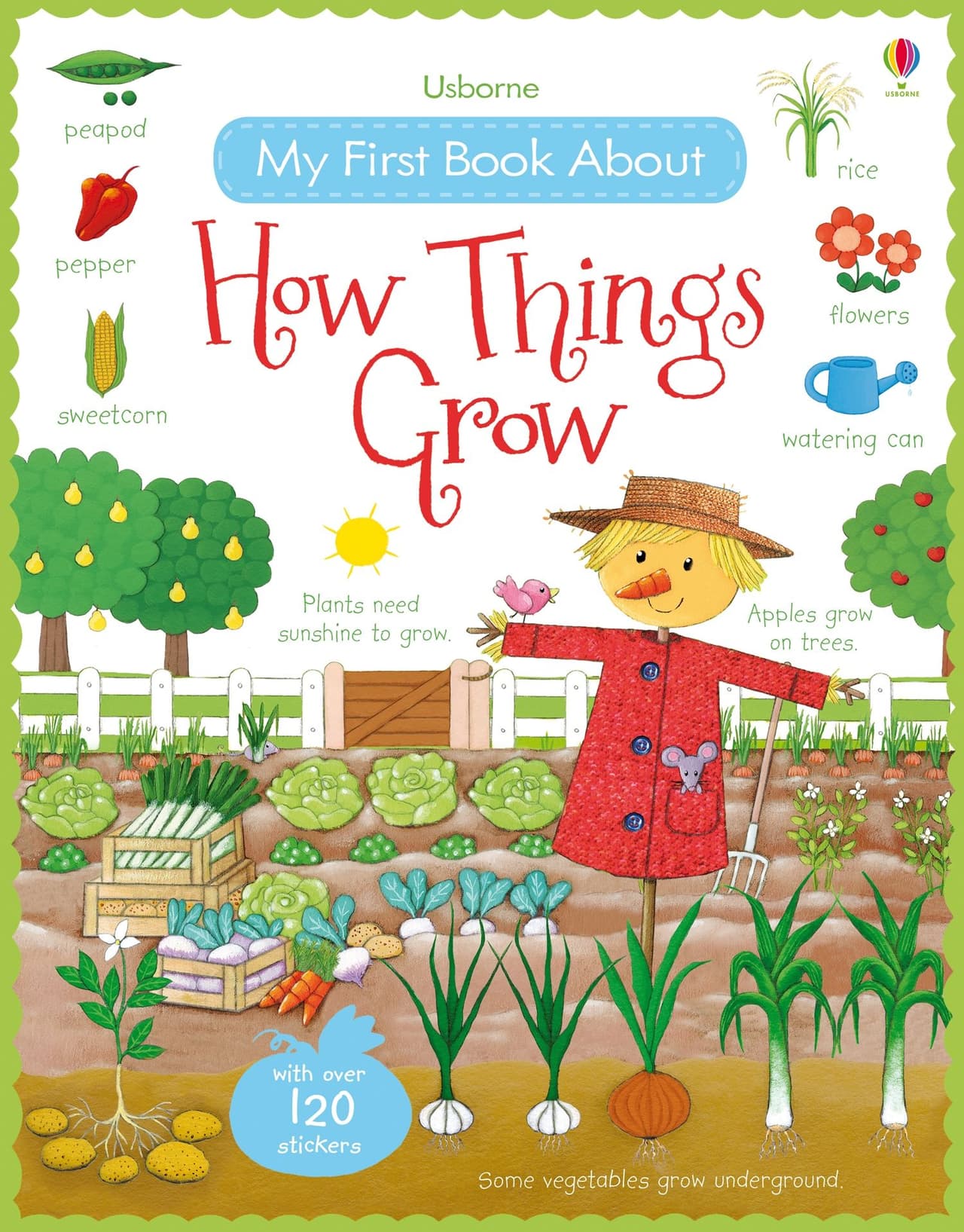 My First Book About How Things Grow. Usborne