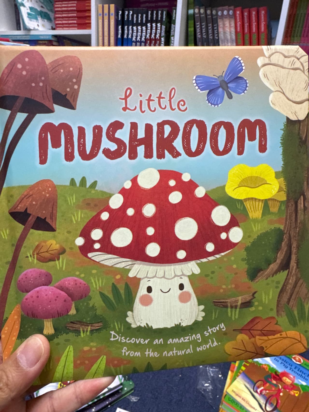 Little Mushroom