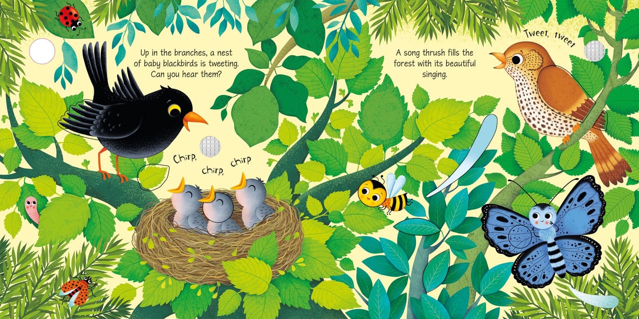Bird Sounds