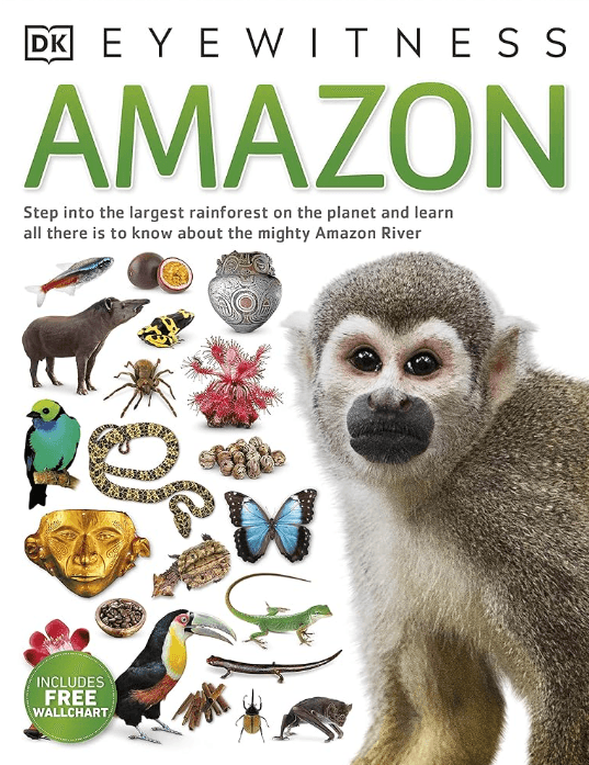 Amazon Eyewitness