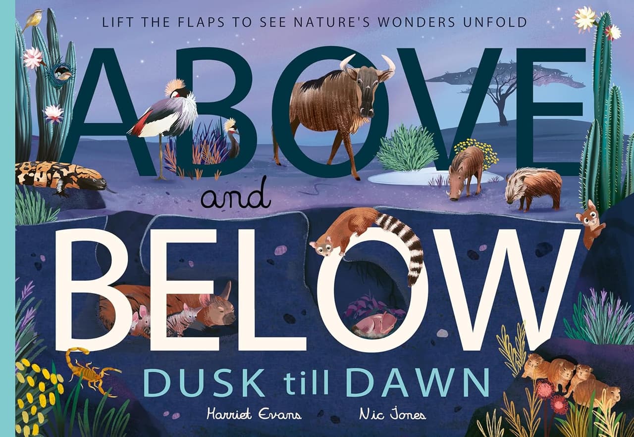 Above and Below: Dusk till dawn