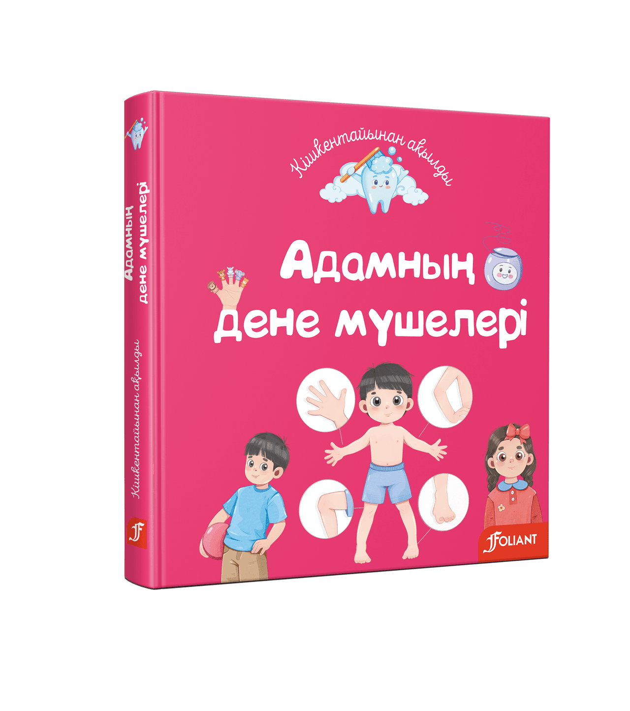 Адамның дене мүшелері