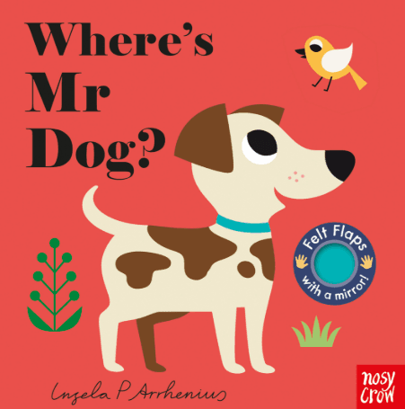 Where’s Mr. Dog? (Nosy crow)