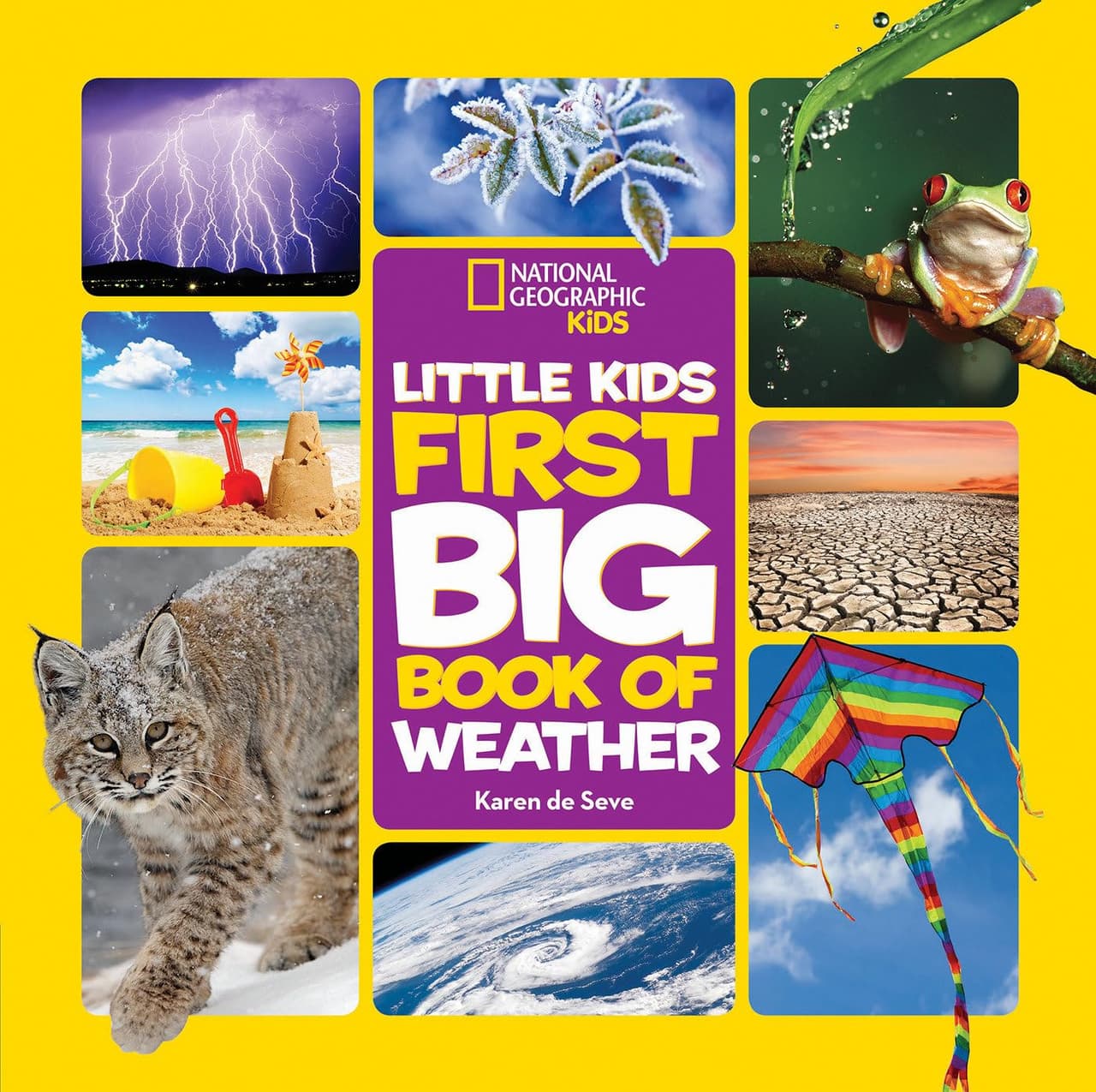 Little Kids First Big Book of Weather. NG