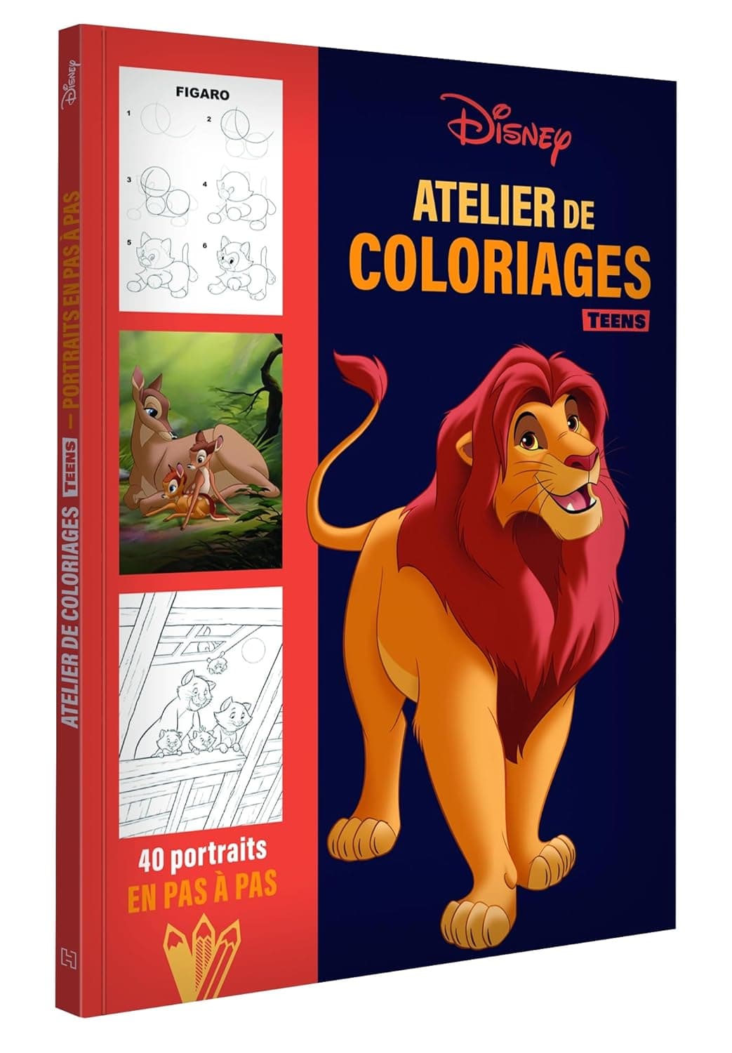 DISNEY TEENS - ATELIER DE COLORIAGES - PORTRAITS EN PAS A PAS