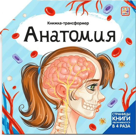 Книжка-трансформер. Анатомия
