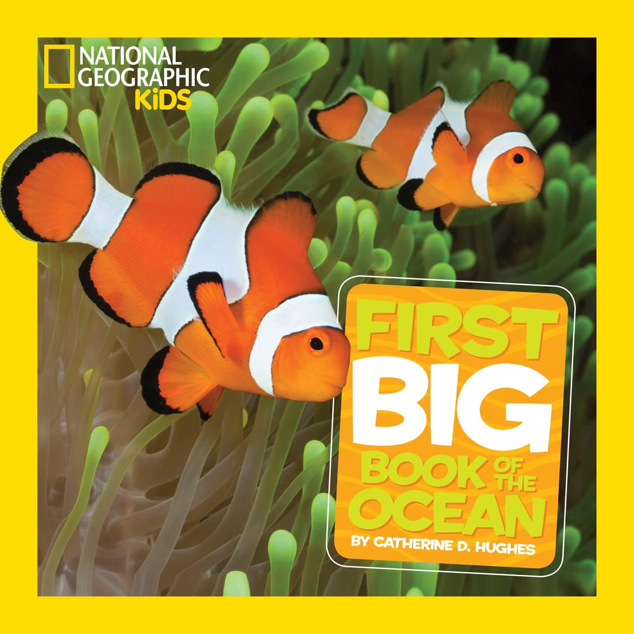Little Kids First Big Book of the Ocean. NG
