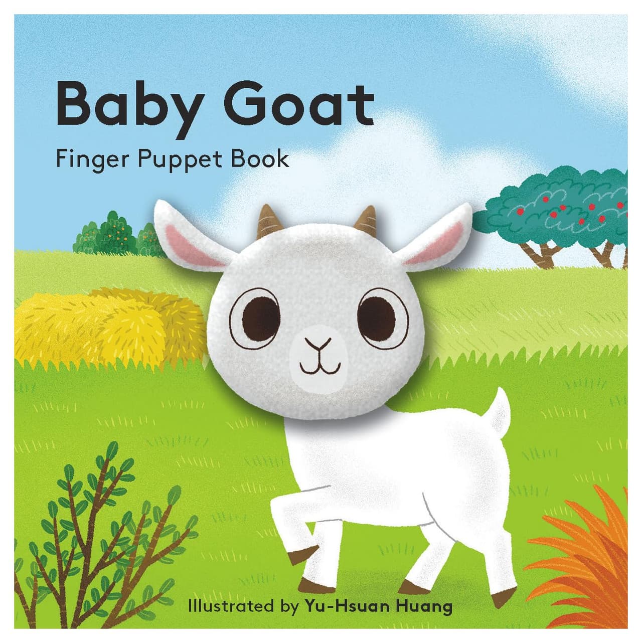 Baby goat