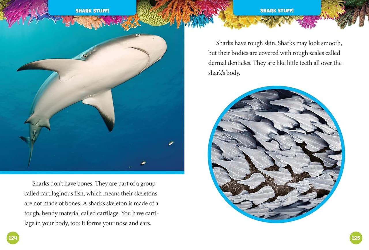5-Minute. Shark Stories