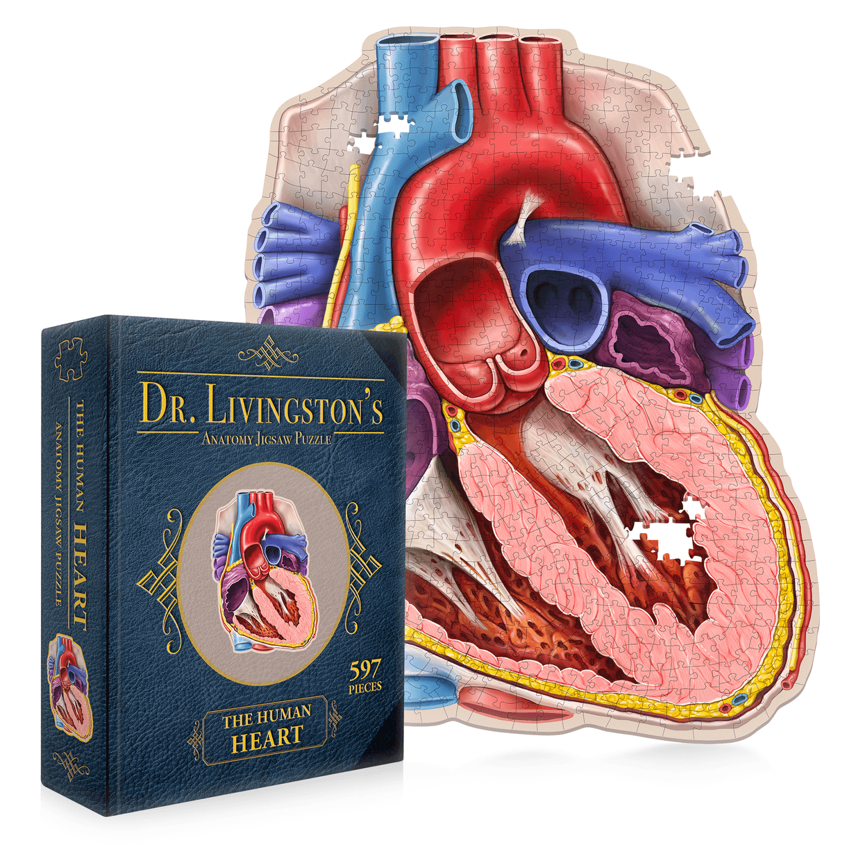 Heart puzzle. Doctor Livingston. Genius games