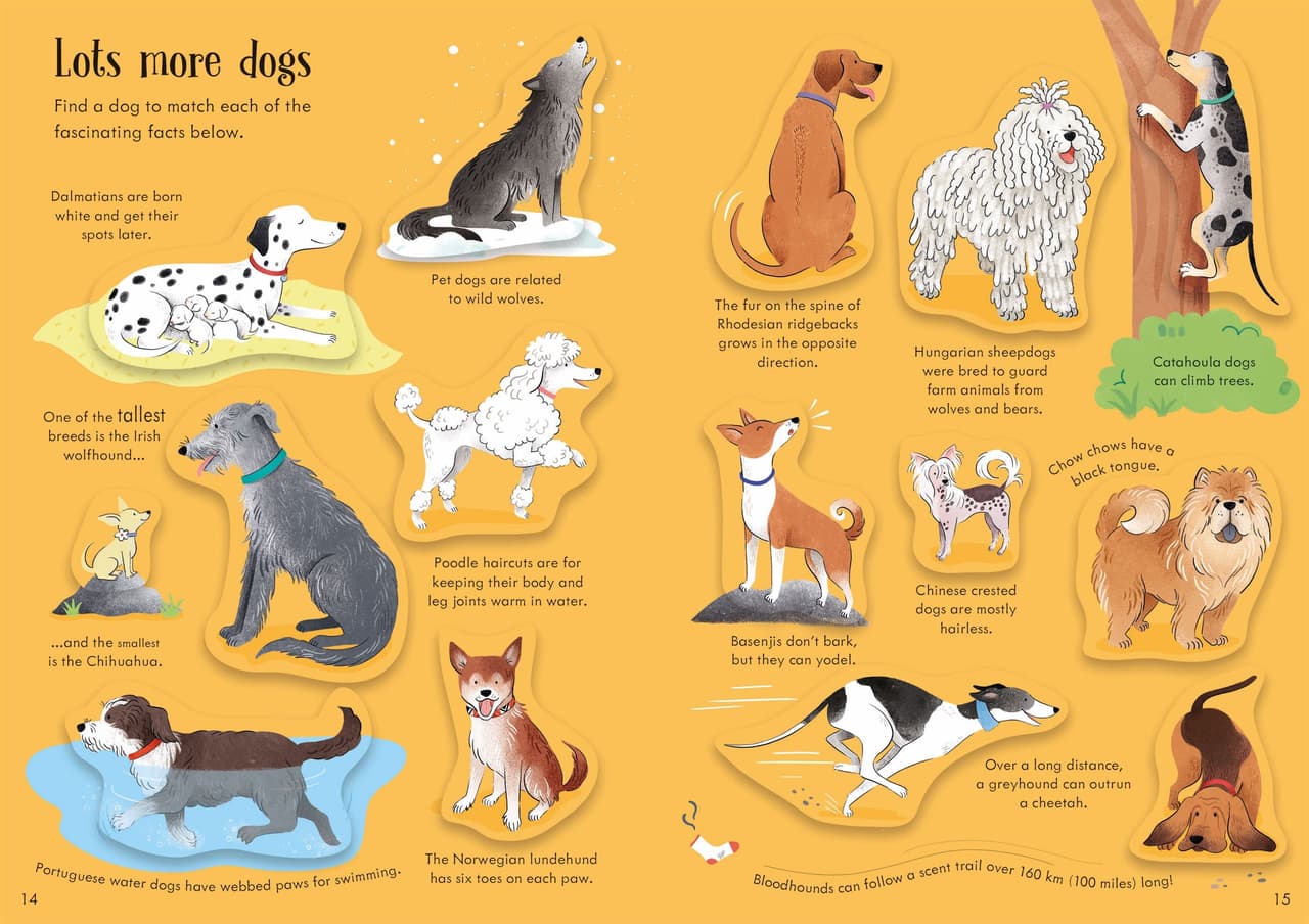 Dogs and puppies. Little First Stickers