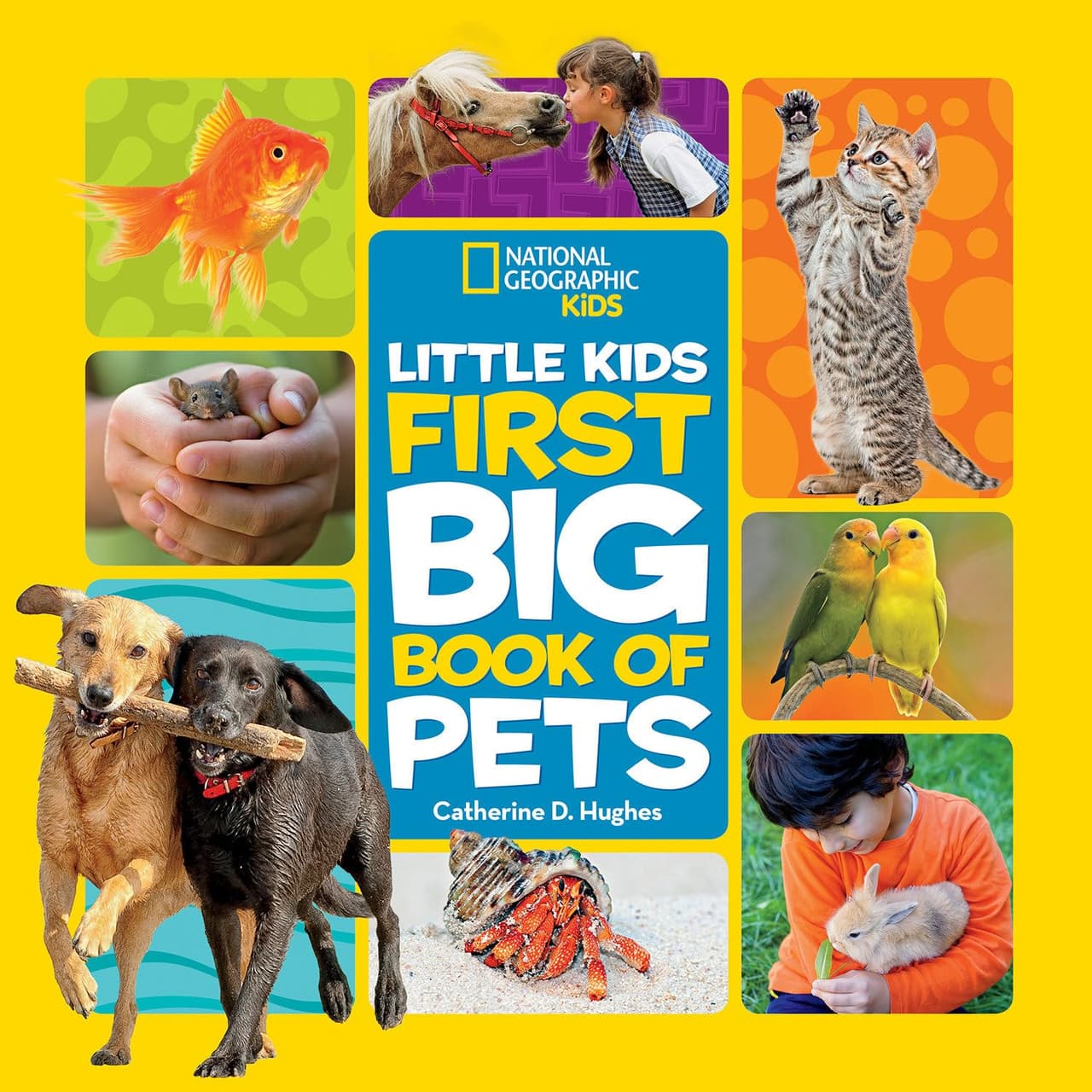 Little Kids First Big Book of Pets. NG