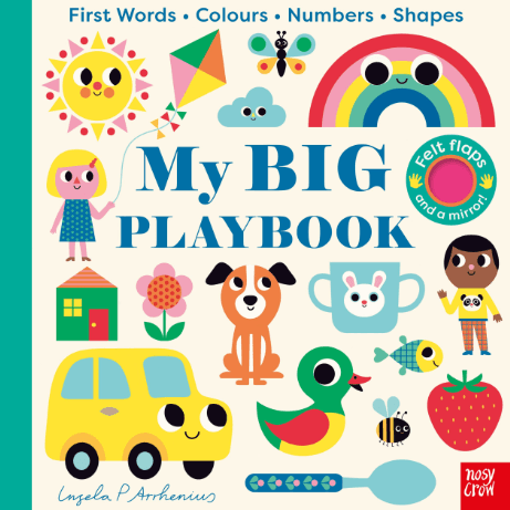 My BIG Playbook