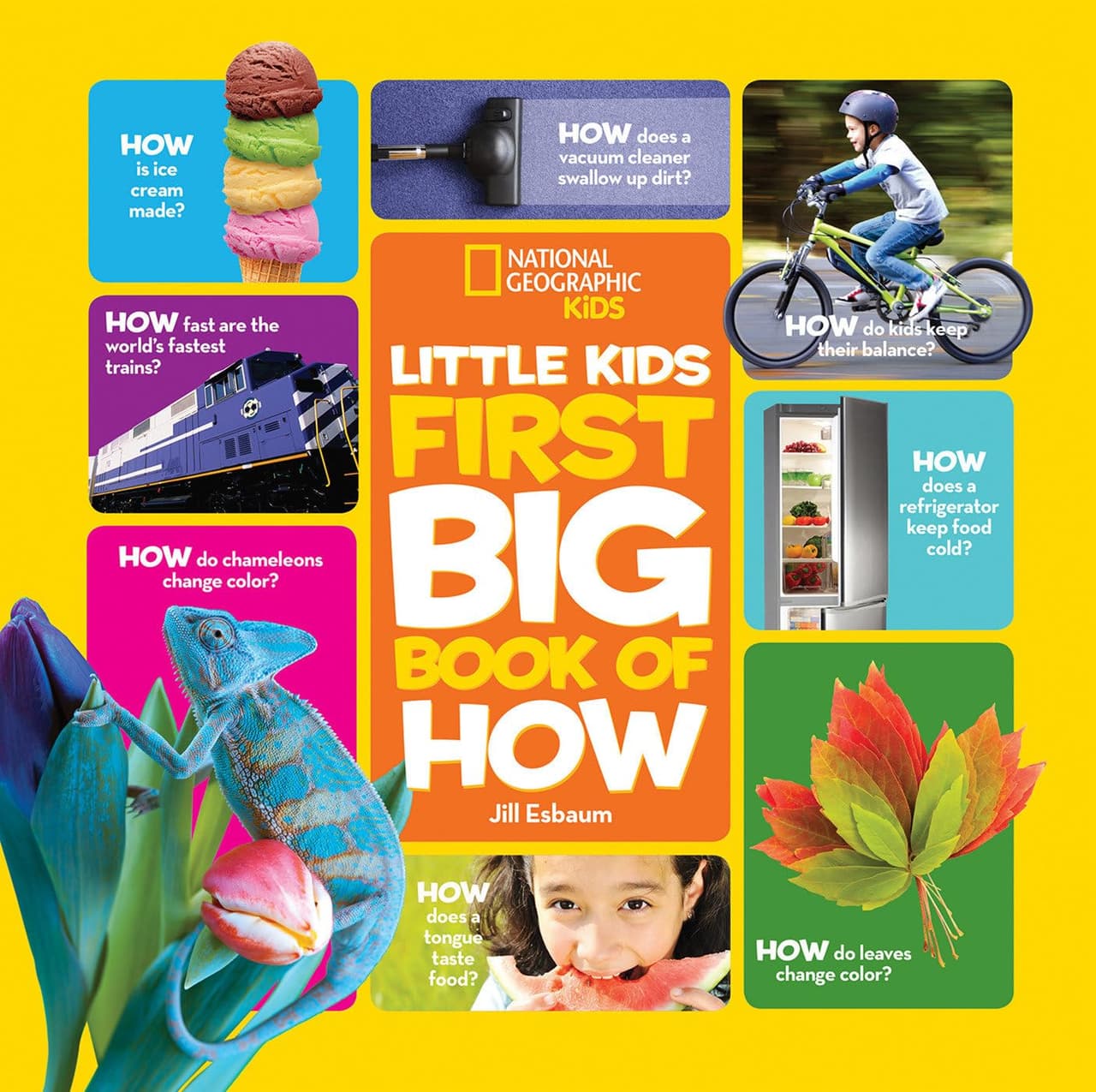 Little Kids First Big Book of How. NG