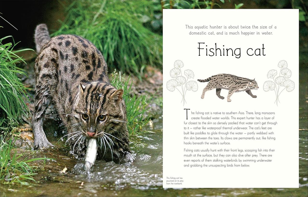 An Anthology of Aquatic life DK