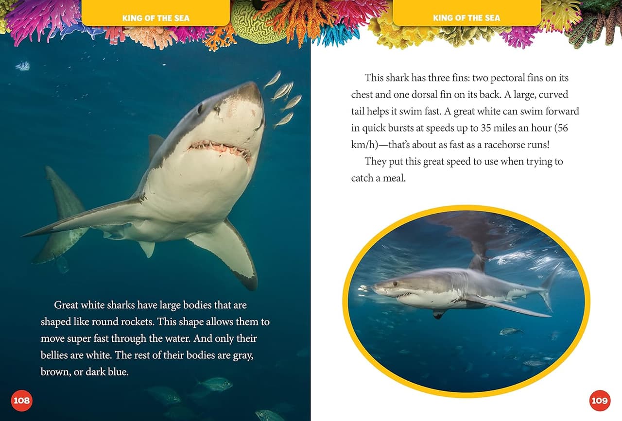 5-Minute. Shark Stories