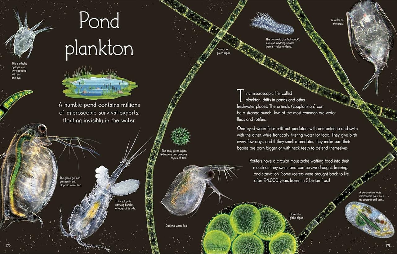 An Anthology of Aquatic life DK