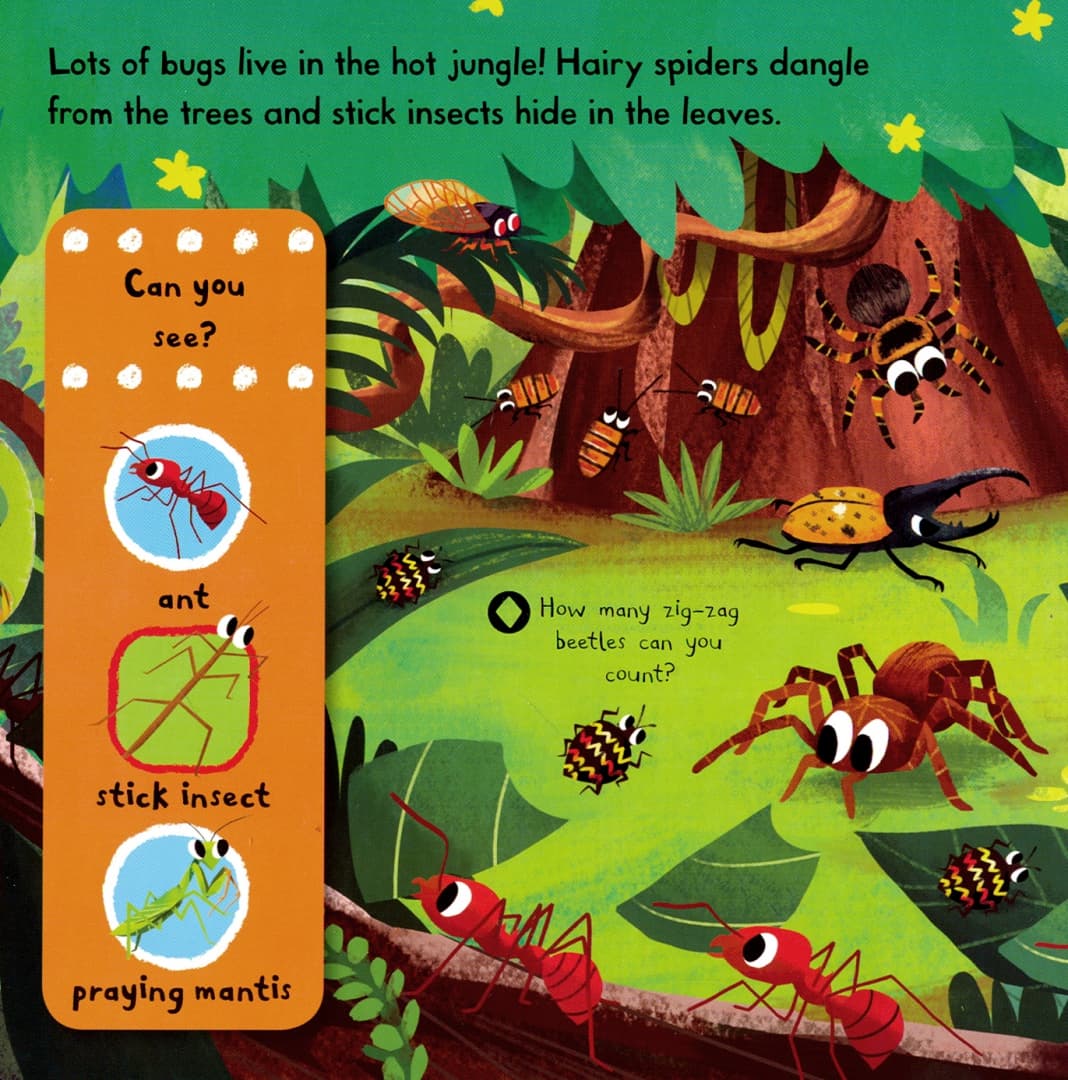 First Explorers. Brilliant Bugs