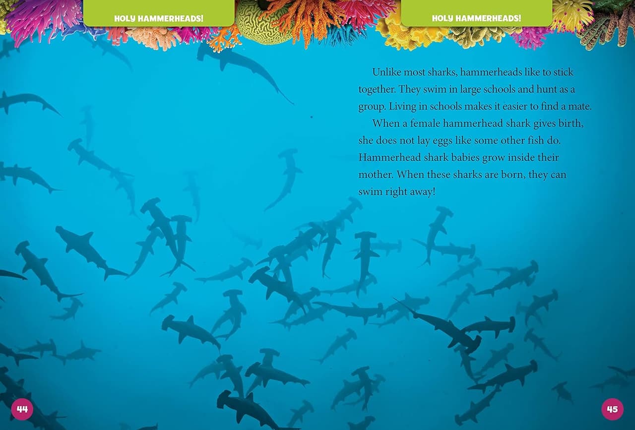 5-Minute. Shark Stories