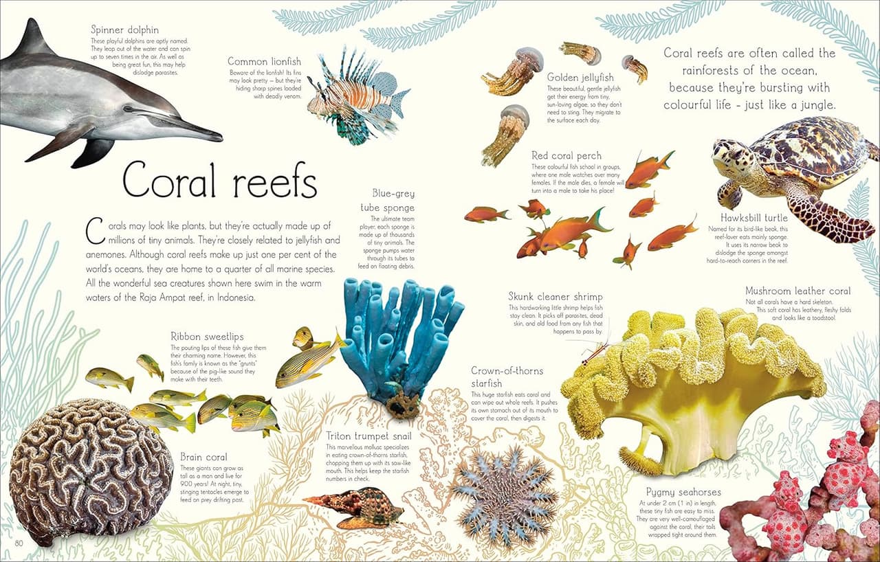An Anthology of Aquatic life DK