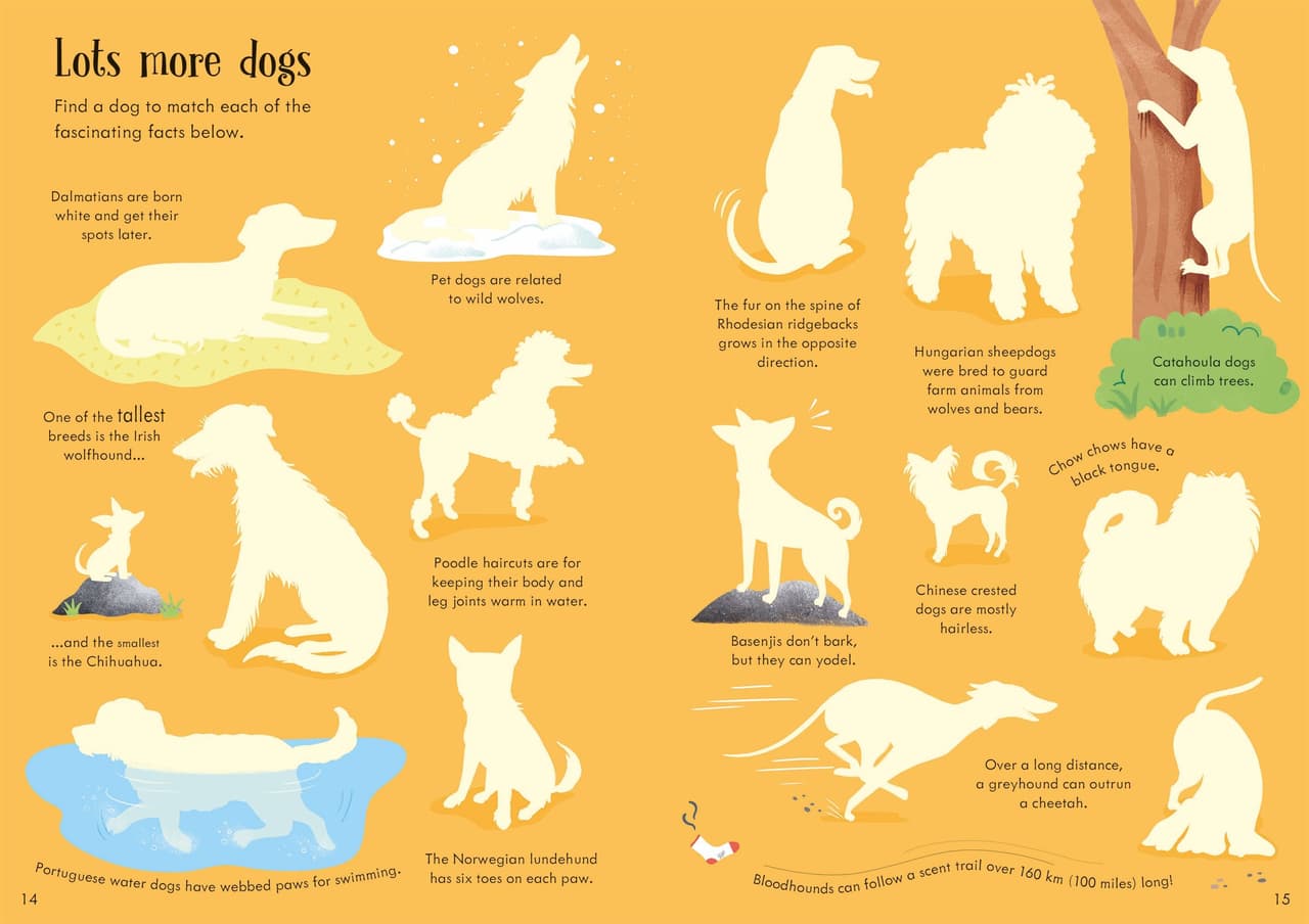 Dogs and puppies. Little First Stickers