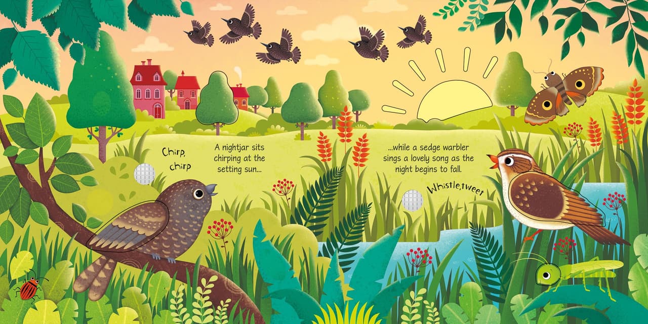 Bird Sounds