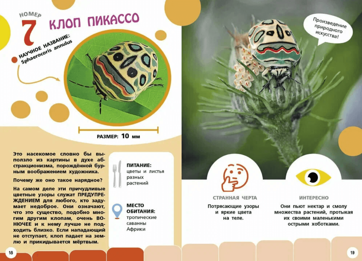 Самые необычные животные и места мира